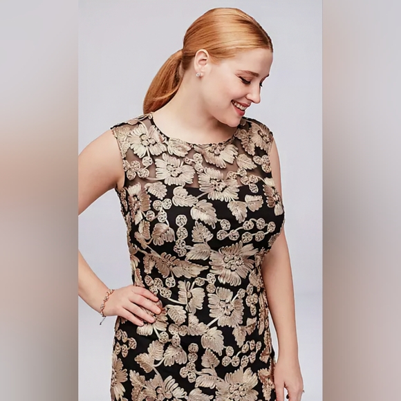 Alex Evenings/David's Bridal, Champagne-Black, Embroidered, Tulle Godets, Sz. 16 - Picture 5 of 15